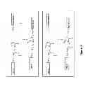 Fig. 29 - Synthetic Antibodies