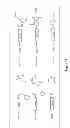 Fig. 33 - Synthetic Antibodies