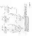 Fig. 37 - Synthetic Antibodies