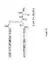 Fig. 40 - Synthetic Antibodies