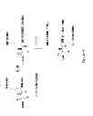 Fig. 41 - Synthetic Antibodies