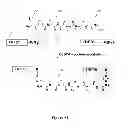 Fig. 51 - Synthetic Antibodies