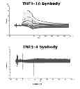Fig. 75 - Synthetic Antibodies