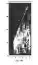 Fig. 80 - Synthetic Antibodies