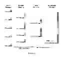 Fig. 82 - Synthetic Antibodies