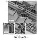 Fig. 19 - Mechanical phenotyping of single cells: high throughput quantitative detection and sorting