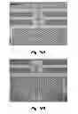 Fig. 20 - Mechanical phenotyping of single cells: high throughput quantitative detection and sorting