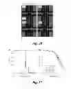Fig. 33 - Mechanical phenotyping of single cells: high throughput quantitative detection and sorting