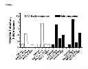 Fig. 09 - Multiple interferon and virus response element cell-based fluorescence system