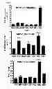 Fig. 11 - Multiple interferon and virus response element cell-based fluorescence system