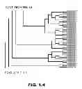 Fig. 06 - METHODS OF PROMOTING WEIGHT LOSS AND ASSOCIATED ARRAYS