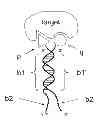 Fig. 01 - Encoded self-assembling chemical libraries (esachel)