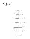 Fig. 02 - Scrub soap and method for manufacturing the same