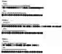 Fig. 02 - Antimicrobial lytic peptides