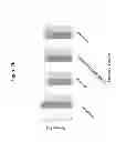 Fig. 04 - Antimicrobial peptides and uses therefore