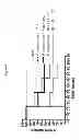 Fig. 09 - Antimicrobial peptides and uses therefore