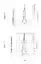 Fig. 31 - Antimicrobial peptides and uses therefore