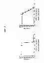 Fig. 34 - Antimicrobial peptides and uses therefore
