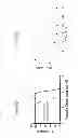 Fig. 40 - Antimicrobial peptides and uses therefore