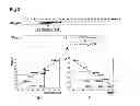 Fig. 04 - INTEGRASE COFACTOR
