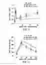 Fig. 04 - Undercarboxylated/uncarboxylated osteocalcin increases beta-cell proliferation, insulin secretion, insulin sensitivity, glucose tolerance and decreases fat mass