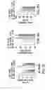 Fig. 08 - Undercarboxylated/uncarboxylated osteocalcin increases beta-cell proliferation, insulin secretion, insulin sensitivity, glucose tolerance and decreases fat mass