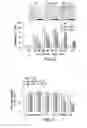 Fig. 09 - Undercarboxylated/uncarboxylated osteocalcin increases beta-cell proliferation, insulin secretion, insulin sensitivity, glucose tolerance and decreases fat mass