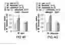 Fig. 18 - Undercarboxylated/uncarboxylated osteocalcin increases beta-cell proliferation, insulin secretion, insulin sensitivity, glucose tolerance and decreases fat mass