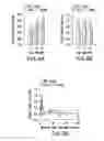 Fig. 20 - Undercarboxylated/uncarboxylated osteocalcin increases beta-cell proliferation, insulin secretion, insulin sensitivity, glucose tolerance and decreases fat mass