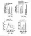 Fig. 25 - Undercarboxylated/uncarboxylated osteocalcin increases beta-cell proliferation, insulin secretion, insulin sensitivity, glucose tolerance and decreases fat mass