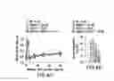 Fig. 27 - Undercarboxylated/uncarboxylated osteocalcin increases beta-cell proliferation, insulin secretion, insulin sensitivity, glucose tolerance and decreases fat mass
