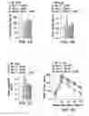 Fig. 28 - Undercarboxylated/uncarboxylated osteocalcin increases beta-cell proliferation, insulin secretion, insulin sensitivity, glucose tolerance and decreases fat mass