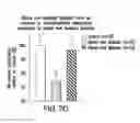 Fig. 32 - Undercarboxylated/uncarboxylated osteocalcin increases beta-cell proliferation, insulin secretion, insulin sensitivity, glucose tolerance and decreases fat mass