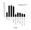 Fig. 08 - Methods for promoting neuronal outgrowth by insulin-like growth factor binding protein-like 1 (IGFBPL-1) in glaucoma or leber's optic neuropathy