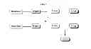 Fig. 07 - Dendrimer conjugates