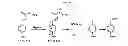 Fig. 22 - Dendrimer conjugates