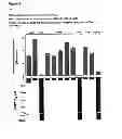 Fig. 07 - Method of diagnosis and prognosis
