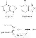 Fig. 58 - COMPOUNDS, COMPOSITIONS AND METHODS OF USING SAME FOR MODULATING URIC ACID LEVELS