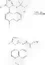 Fig. 75 - COMPOUNDS, COMPOSITIONS AND METHODS OF USING SAME FOR MODULATING URIC ACID LEVELS