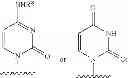 Fig. 04 - 2'-METHYL SUBSTITUTED NUCLEOSIDE DERIVATIVES AND METHODS OF USE THEREOF FOR THE TREATMENT OF VIRAL DISEASES