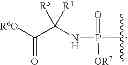 Fig. 06 - 2'-METHYL SUBSTITUTED NUCLEOSIDE DERIVATIVES AND METHODS OF USE THEREOF FOR THE TREATMENT OF VIRAL DISEASES