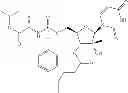 Fig. 100 - 2'-METHYL SUBSTITUTED NUCLEOSIDE DERIVATIVES AND METHODS OF USE THEREOF FOR THE TREATMENT OF VIRAL DISEASES