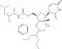 Fig. 101 - 2'-METHYL SUBSTITUTED NUCLEOSIDE DERIVATIVES AND METHODS OF USE THEREOF FOR THE TREATMENT OF VIRAL DISEASES