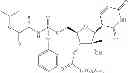 Fig. 102 - 2'-METHYL SUBSTITUTED NUCLEOSIDE DERIVATIVES AND METHODS OF USE THEREOF FOR THE TREATMENT OF VIRAL DISEASES