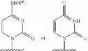 Fig. 110 - 2'-METHYL SUBSTITUTED NUCLEOSIDE DERIVATIVES AND METHODS OF USE THEREOF FOR THE TREATMENT OF VIRAL DISEASES