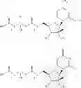 Fig. 129 - 2'-METHYL SUBSTITUTED NUCLEOSIDE DERIVATIVES AND METHODS OF USE THEREOF FOR THE TREATMENT OF VIRAL DISEASES