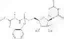 Fig. 16 - 2'-METHYL SUBSTITUTED NUCLEOSIDE DERIVATIVES AND METHODS OF USE THEREOF FOR THE TREATMENT OF VIRAL DISEASES