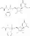 Fig. 17 - 2'-METHYL SUBSTITUTED NUCLEOSIDE DERIVATIVES AND METHODS OF USE THEREOF FOR THE TREATMENT OF VIRAL DISEASES
