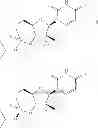 Fig. 19 - 2'-METHYL SUBSTITUTED NUCLEOSIDE DERIVATIVES AND METHODS OF USE THEREOF FOR THE TREATMENT OF VIRAL DISEASES