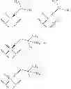 Fig. 25 - 2'-METHYL SUBSTITUTED NUCLEOSIDE DERIVATIVES AND METHODS OF USE THEREOF FOR THE TREATMENT OF VIRAL DISEASES